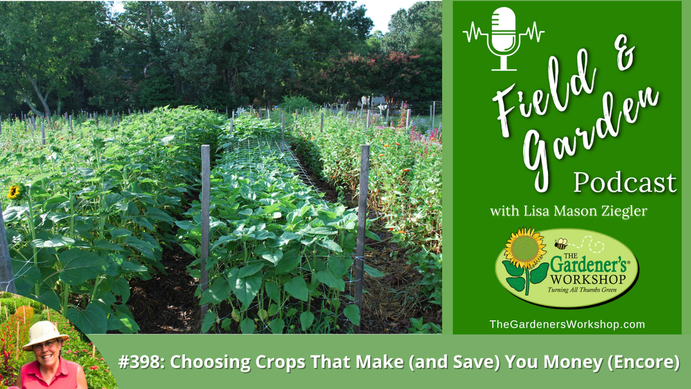 #398: Choosing Crops that Make (and Save) You Money (Encore)