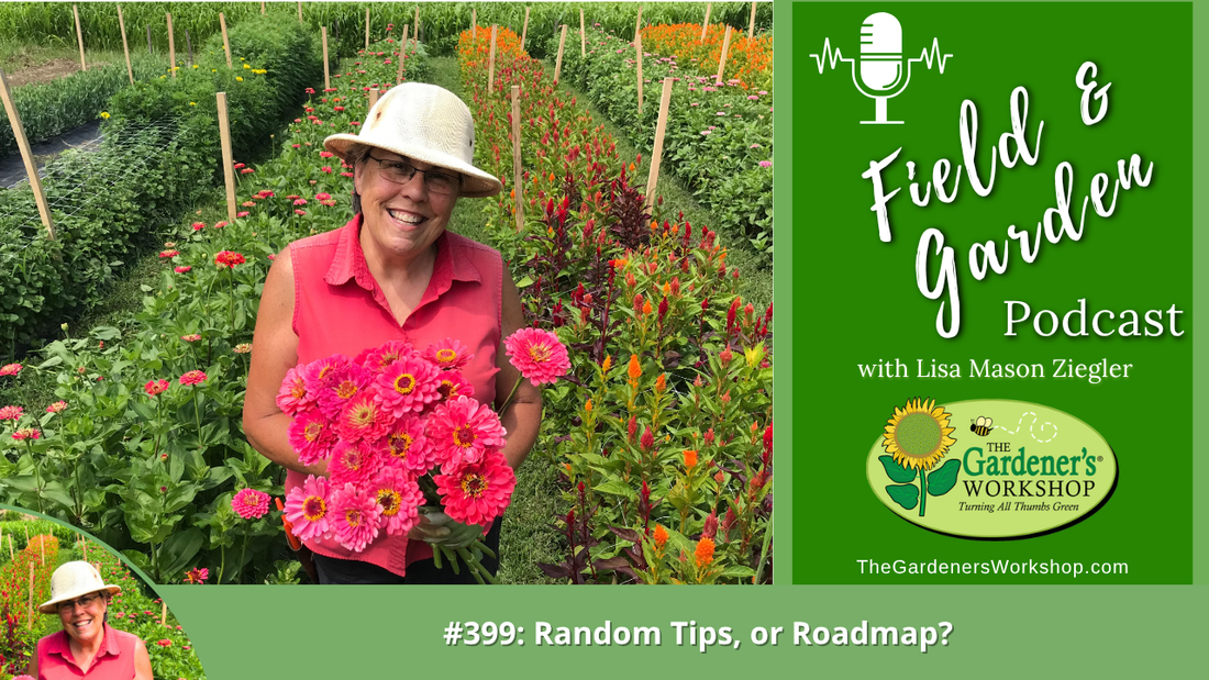 #399: Random Tips, or Roadmap?