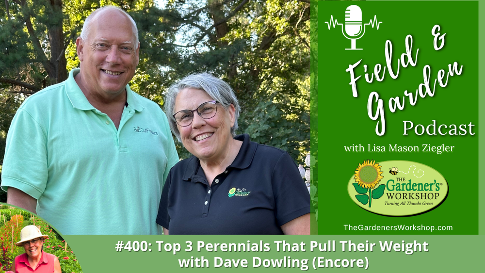#400: Top 3 Perennials that Pull Their Weight with Dave Dowling (Encore)