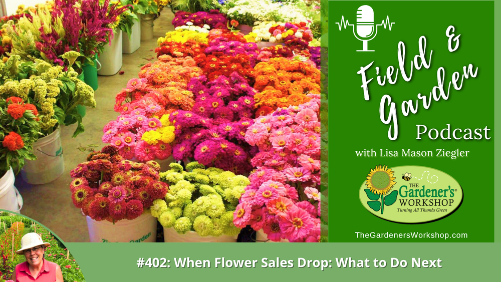#402: When Flower Sales Drop: What to Do Next