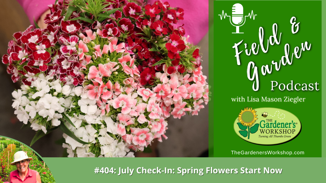 #404: July Check-In: Spring Flowers Start Now