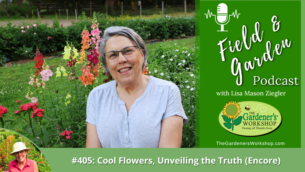 #405: Cool Flowers, Unveiling the Truth (Encore)