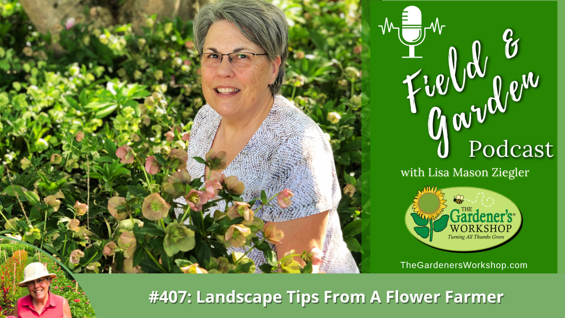 #407: Landscape Tips From A Flower Farmer