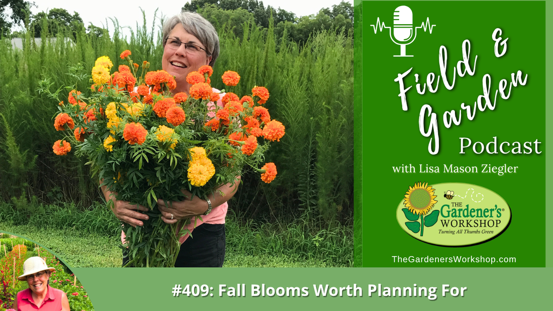 #409: Fall Blooms Worth Planning For