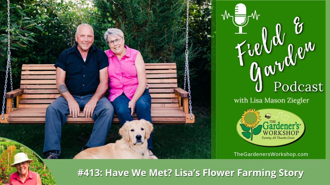 #413: Have We Met? Lisa’s Flower Farming Story