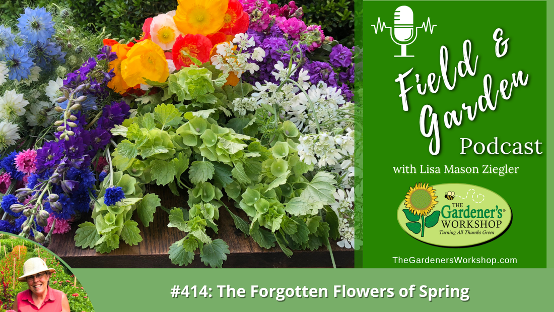 #414: Forgotten Family of Spring