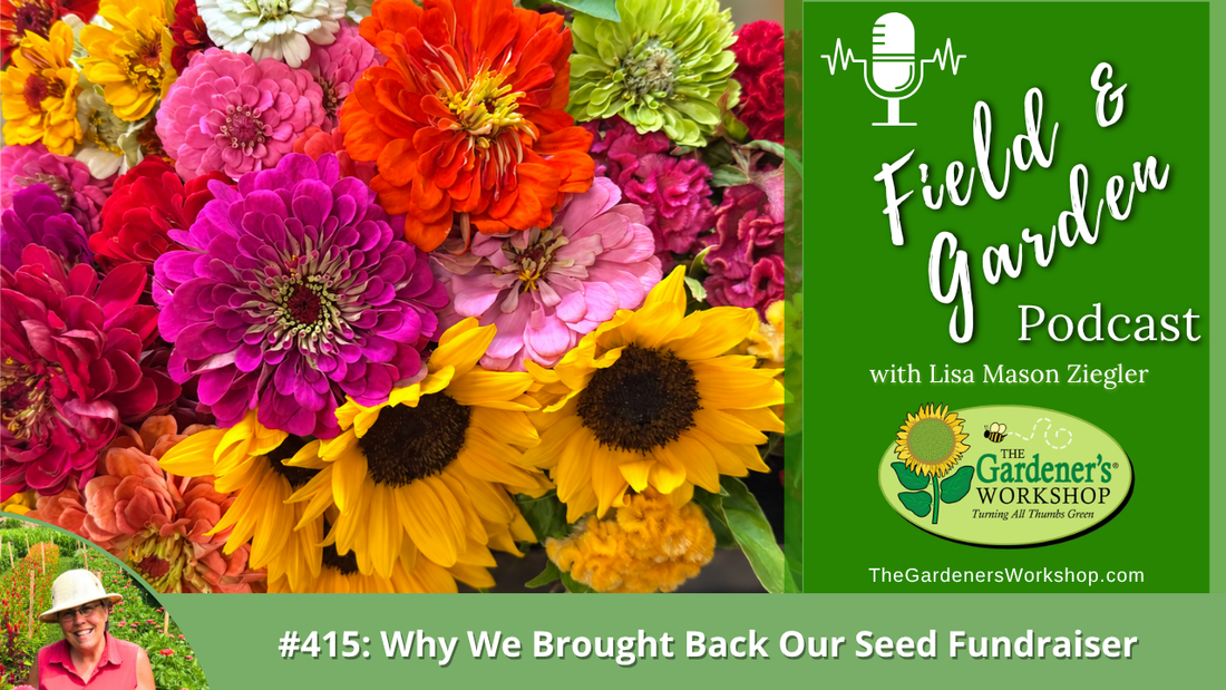 #415: Why We Brought Back Our Seed Fundraiser