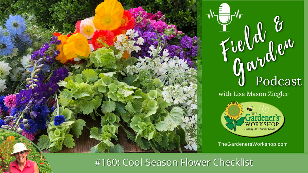 #160: Cool-Season Flower Checklist