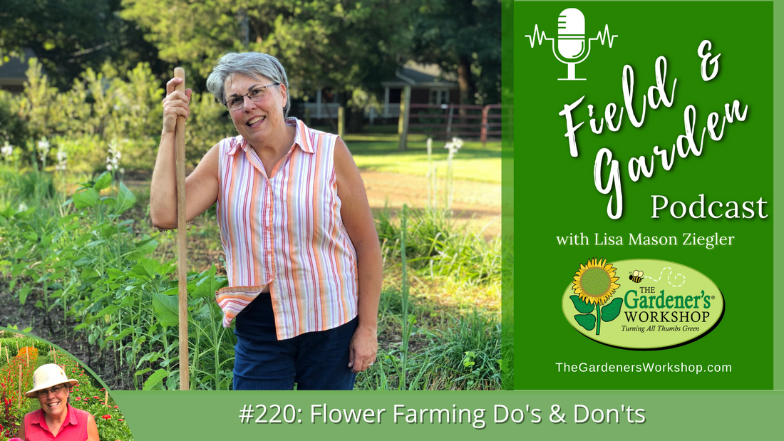 #220: Flower Farming Do’s & Don’ts