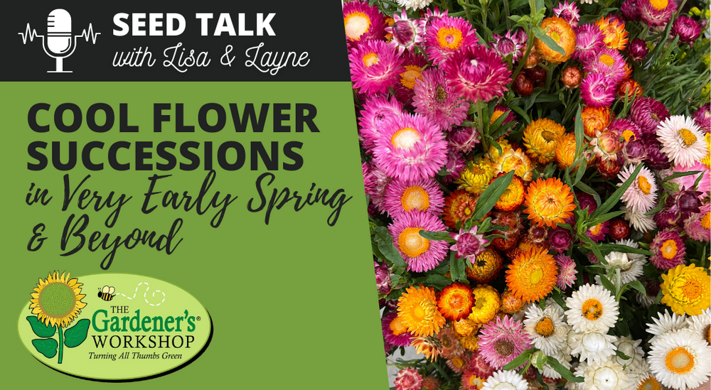 #324: Cool Flower Successions in Very Early Spring & Beyond (Seed Talk Best of '24 Rerelease)