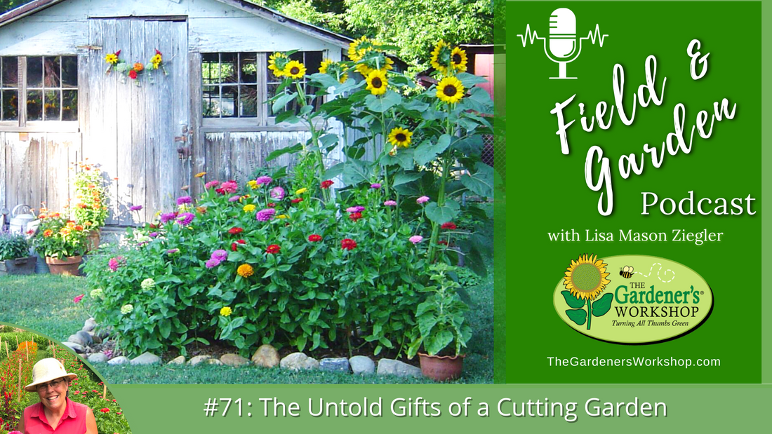 #71 The Untold Gifts of a Cutting Garden