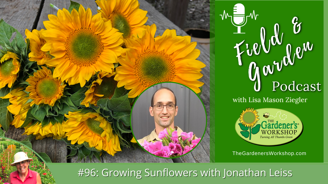 #96: Growing Sunflowers with Jonathan Leiss