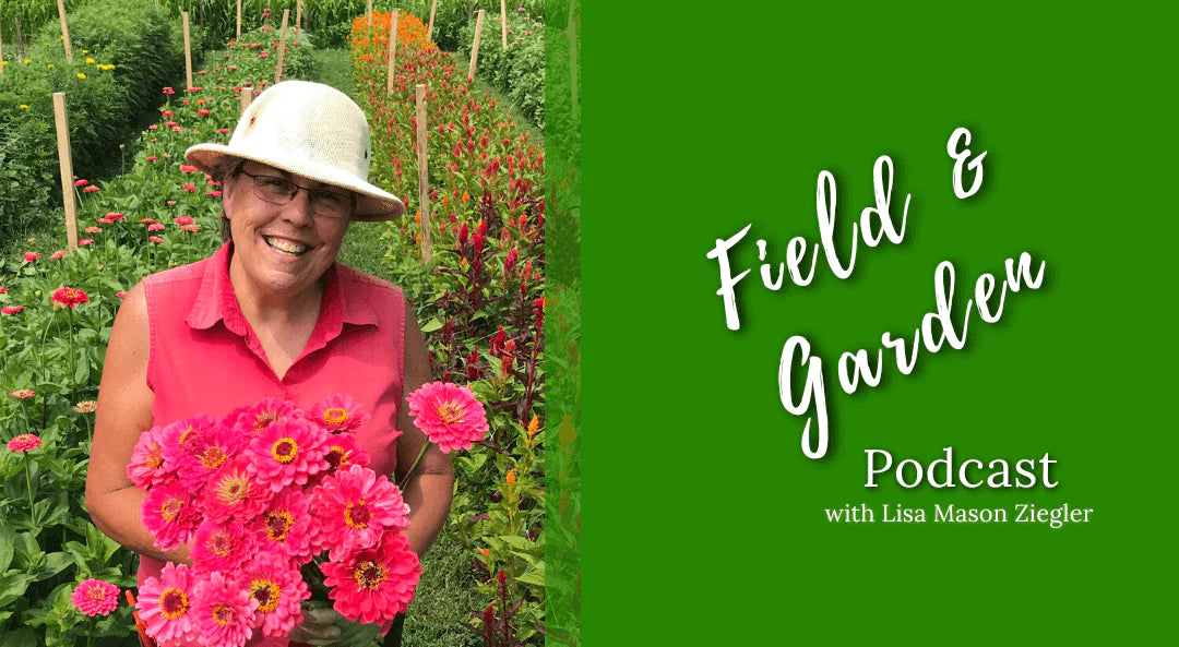 #181: Cool Flowers Talk: Lisa on The joegardener® Show Podcast