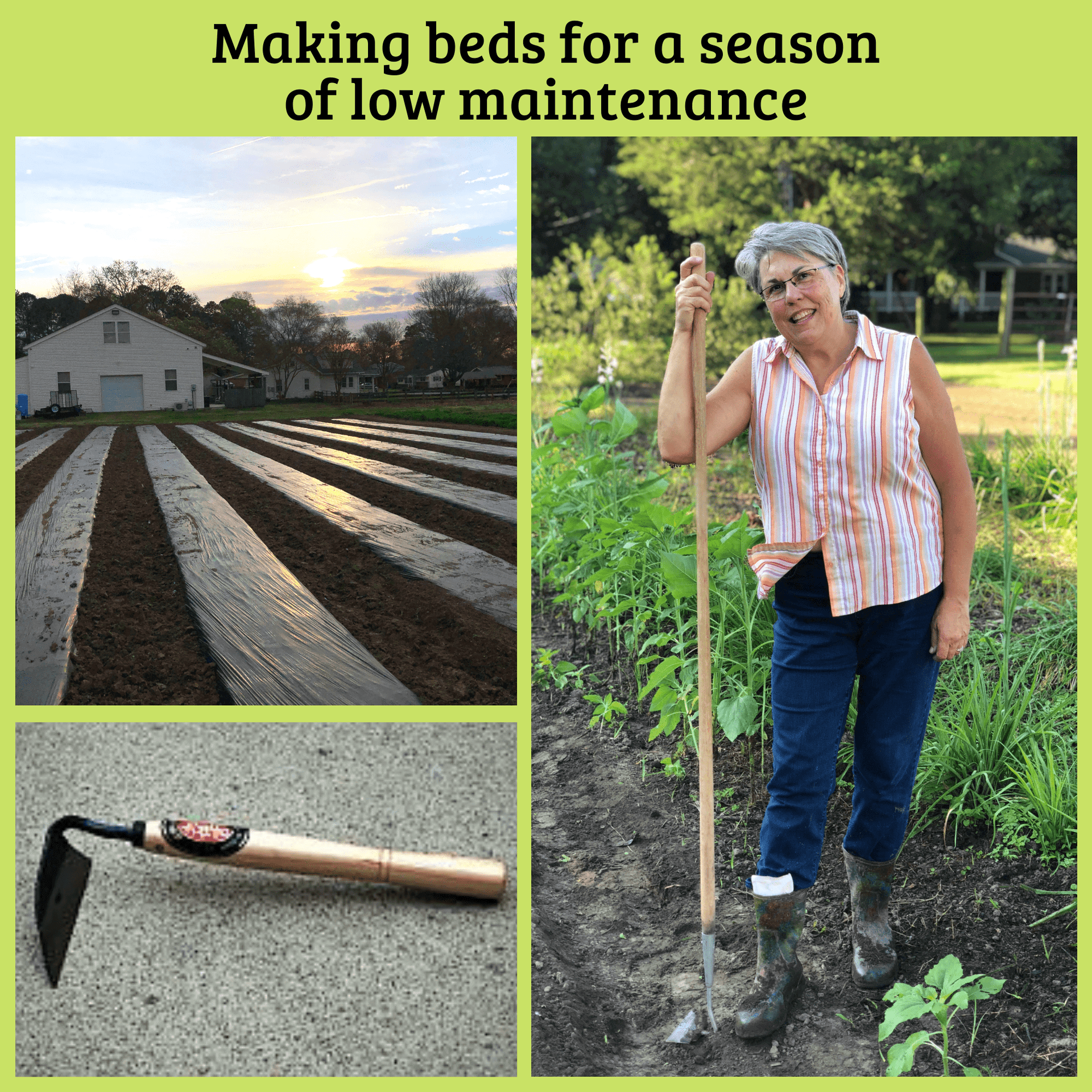 How to Hoe Weeds in Garden: Expert Tips for a Weed-Free Yard