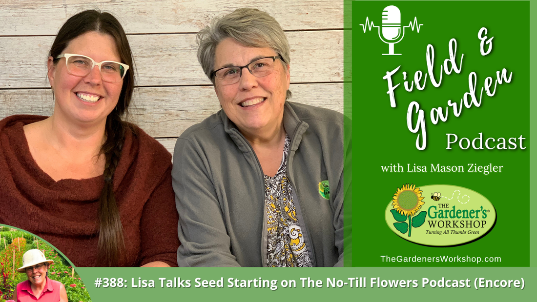 #388: Lisa Talks Seed Starting on the No-Till Flowers Podcast (Encore)