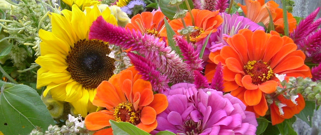 Best Flowers To Grow For Summer Bouquets