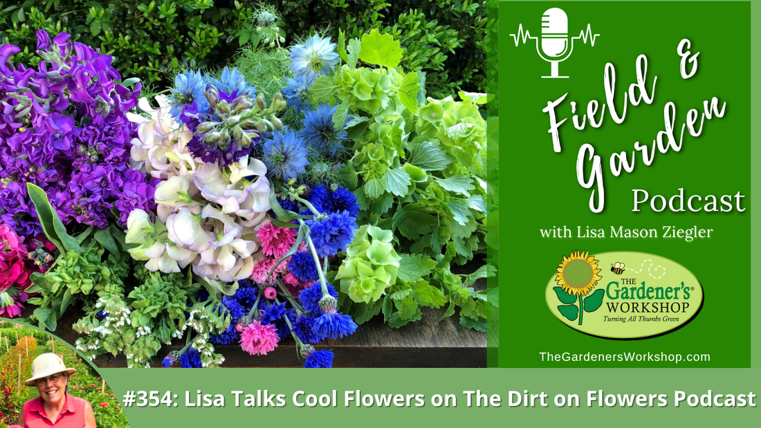 #354: Lisa Talks Cool Flowers on The Dirt on Flowers Podcast