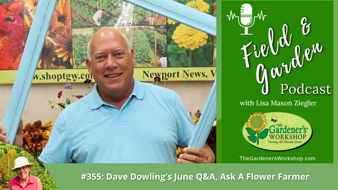 #355: Dave Dowling's June Q&A, Ask A Flower Farmer