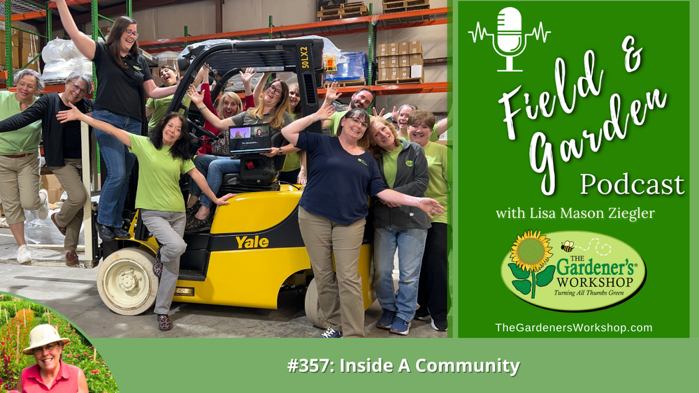 #357: Inside A Community