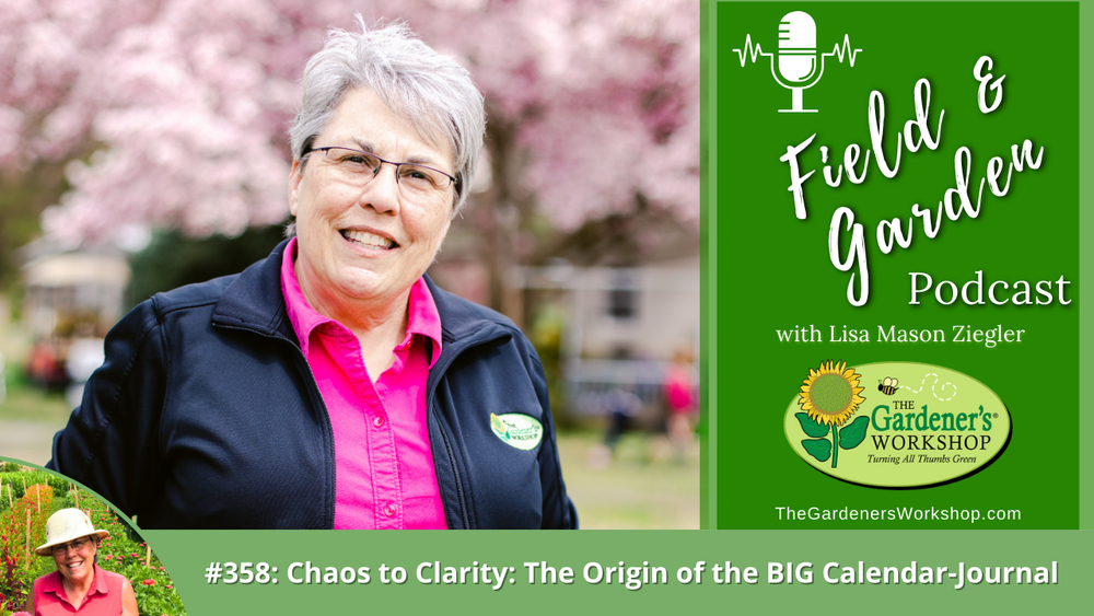 #358: Chaos to Clarity: The Origin of the BIG Calendar-Journal
