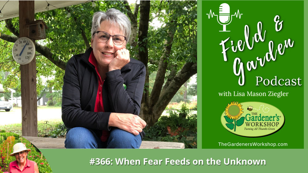 #366: When Fear Feeds on the Unknown