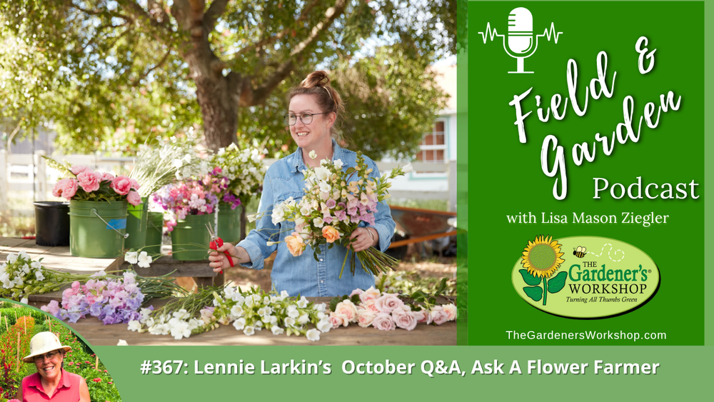 #367: Lennie Larkin's October Q&A, Ask A Flower Farmer
