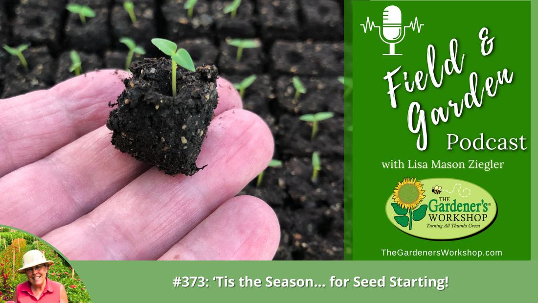 #373: 'Tis the Season…for Seed Starting!