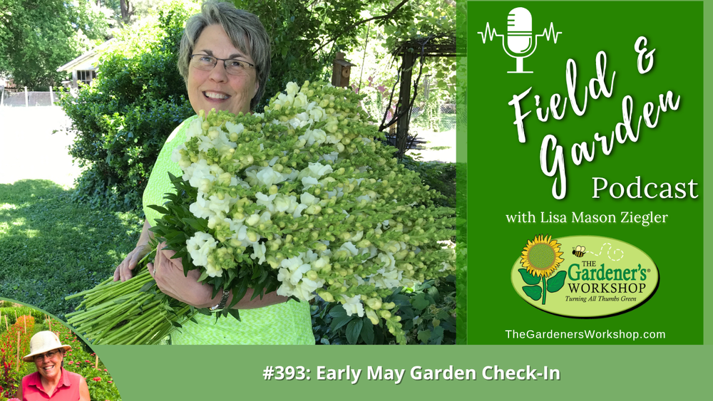 #393: Early May Garden Check-In