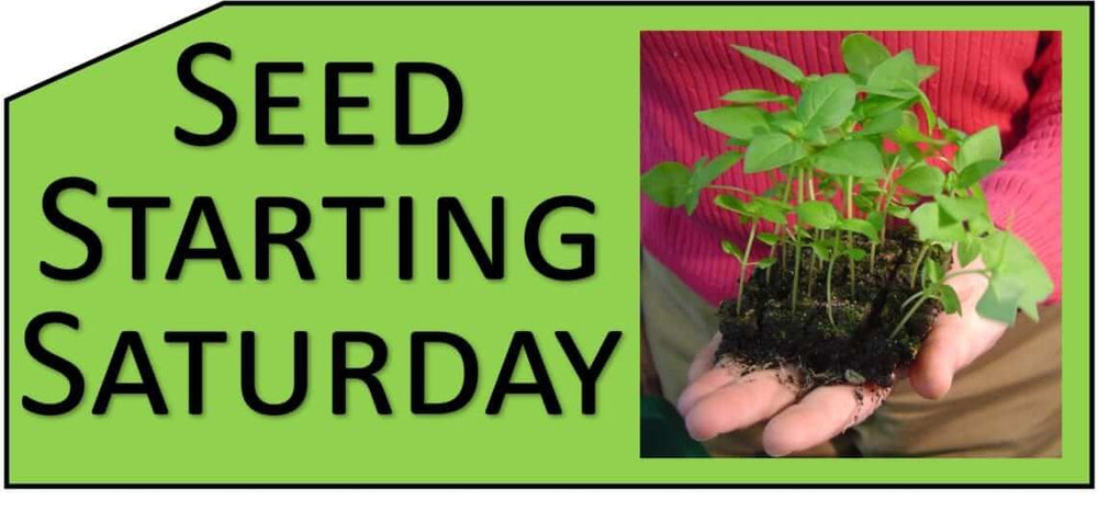 seed-starting-saturday-logo