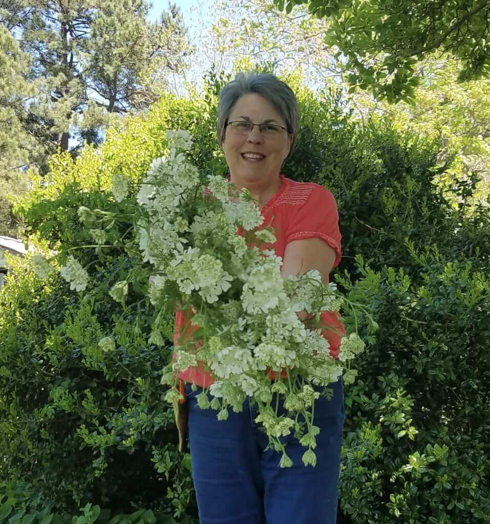 White Lace Flower - Lisa Mason Ziegler