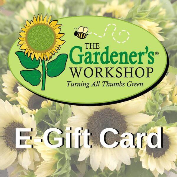 E-Gift-Card-2.jpg