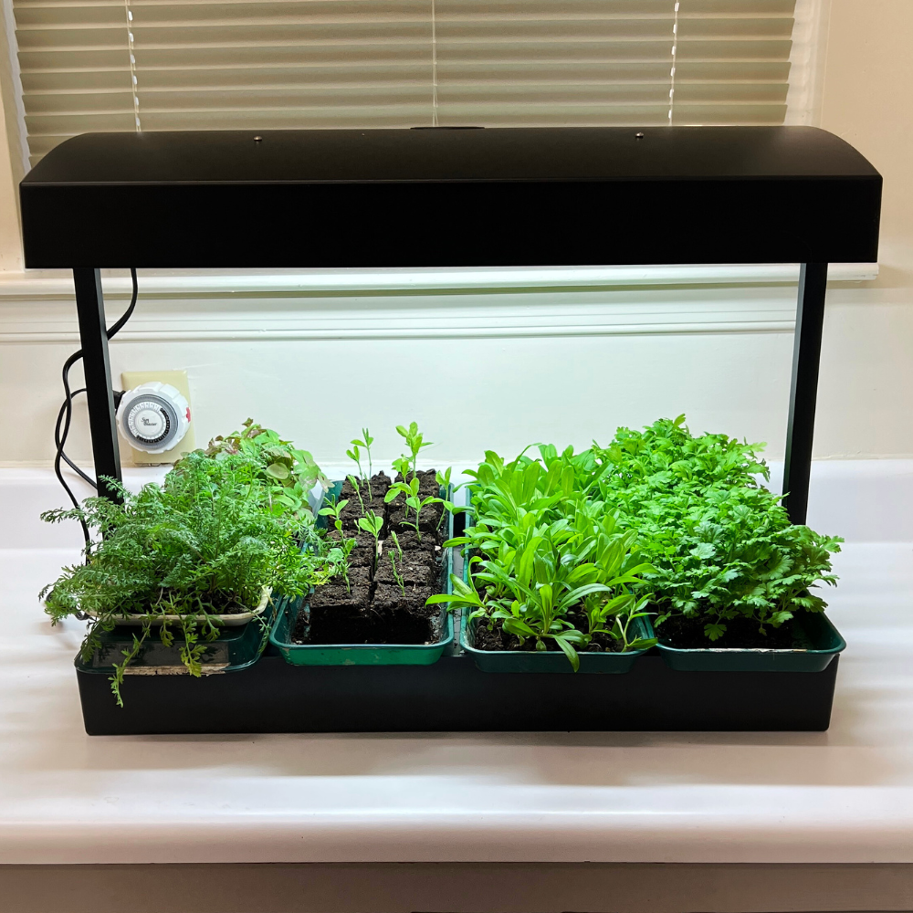 Grow Light Garden* - Clearance