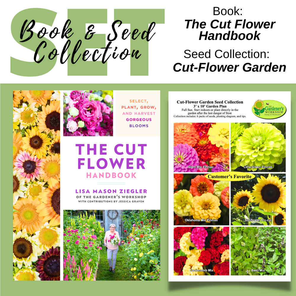 2022 Book and Seed Collections