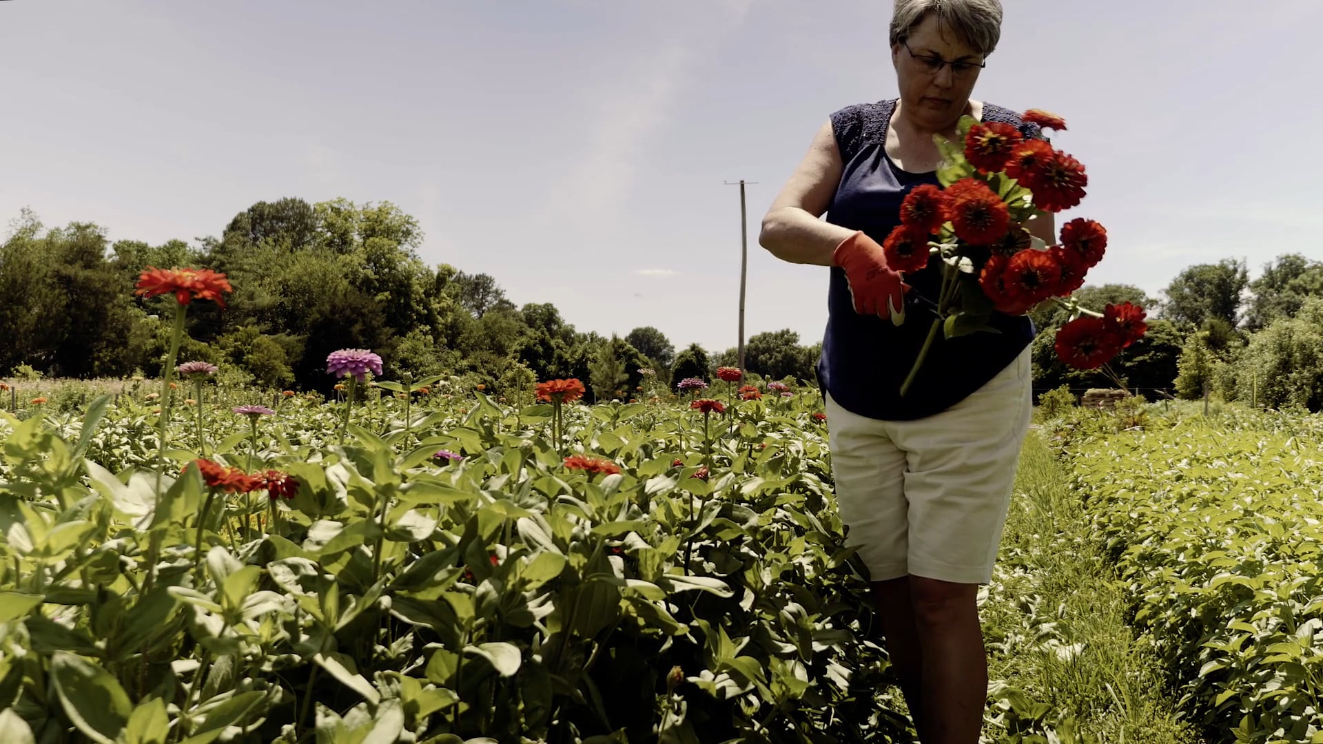 Load video: Lisa&#39;s Story