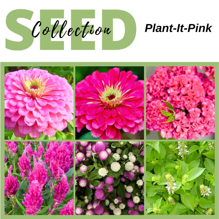 Seed Collection, Plant-It-Pink