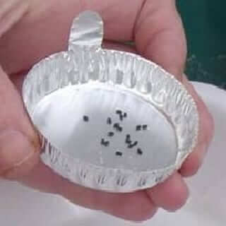 Aluminum Seeding Pan