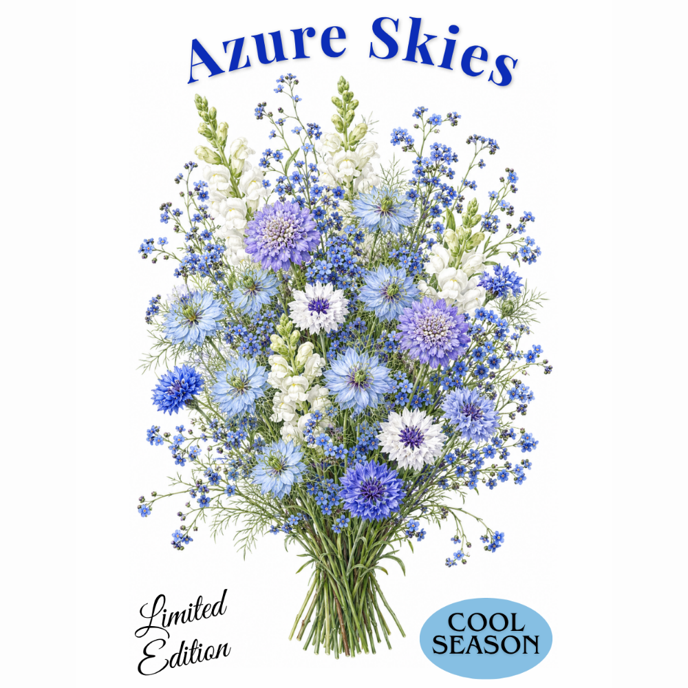 Seed Set, Azure Skies