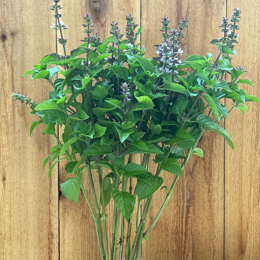 Basil, Everleaf Lemon