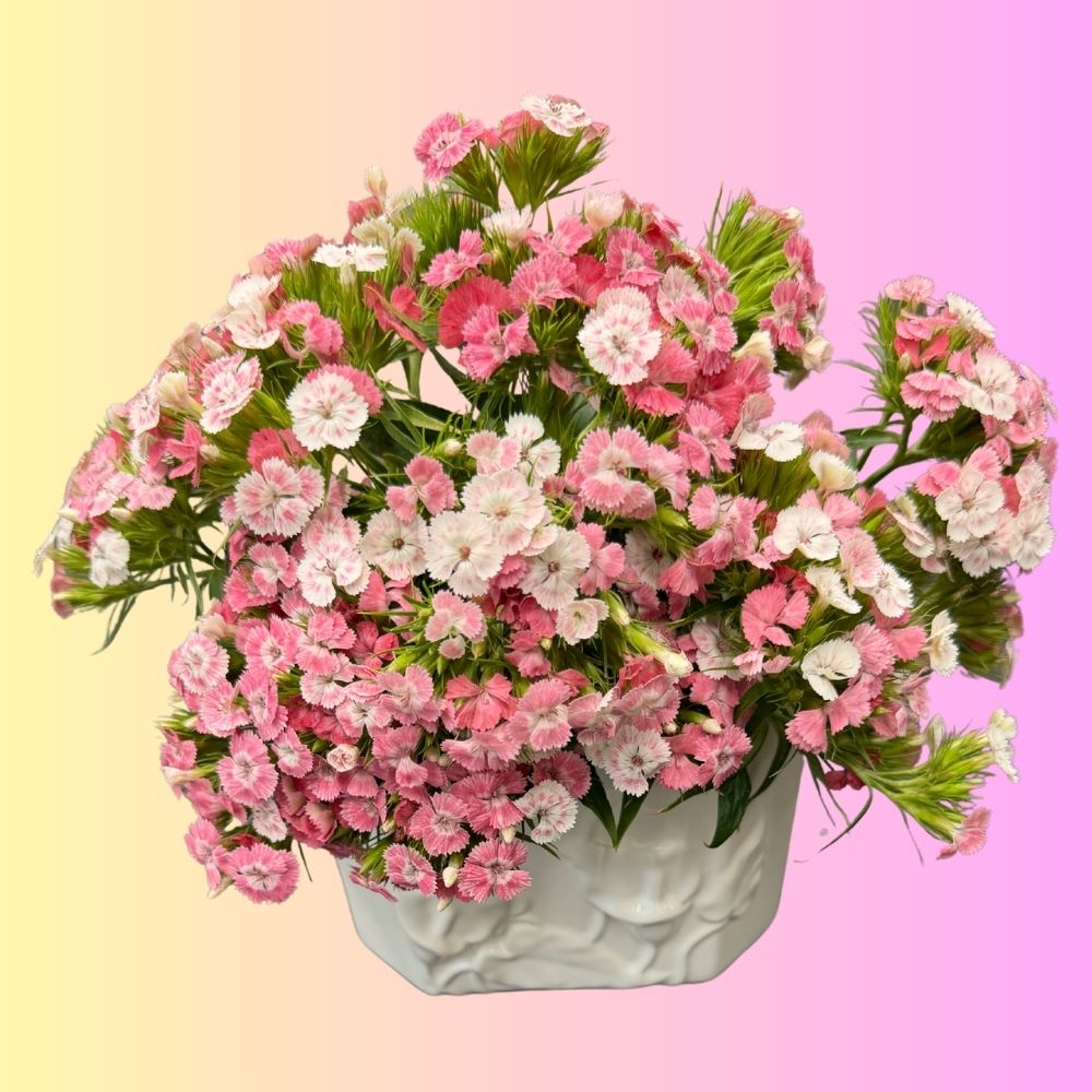 Blossom Grid™