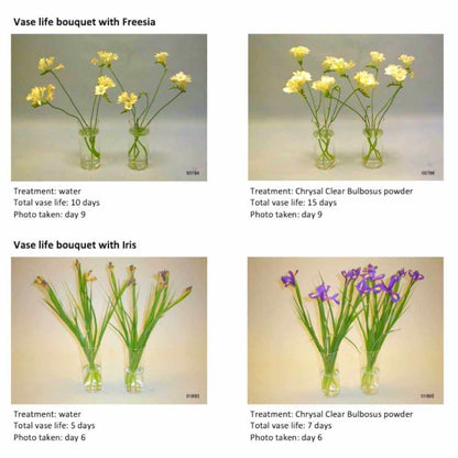 chrysal flower food for potted plants Clear Fresh Cut-Flower Food – The Gardener's Workshop