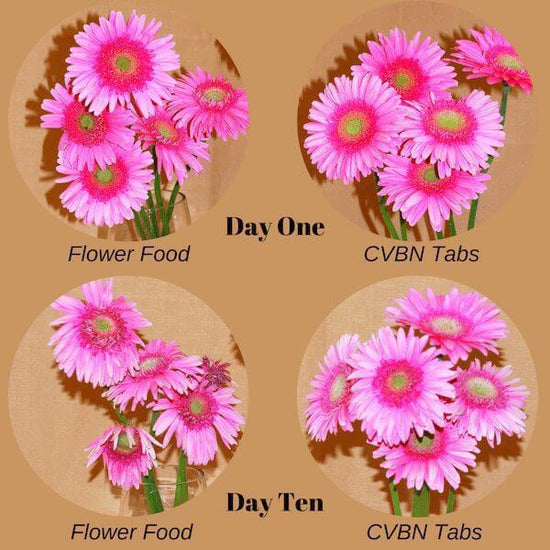 CVBN Tab Treatment - flower food - The Gardener's Workshop ...