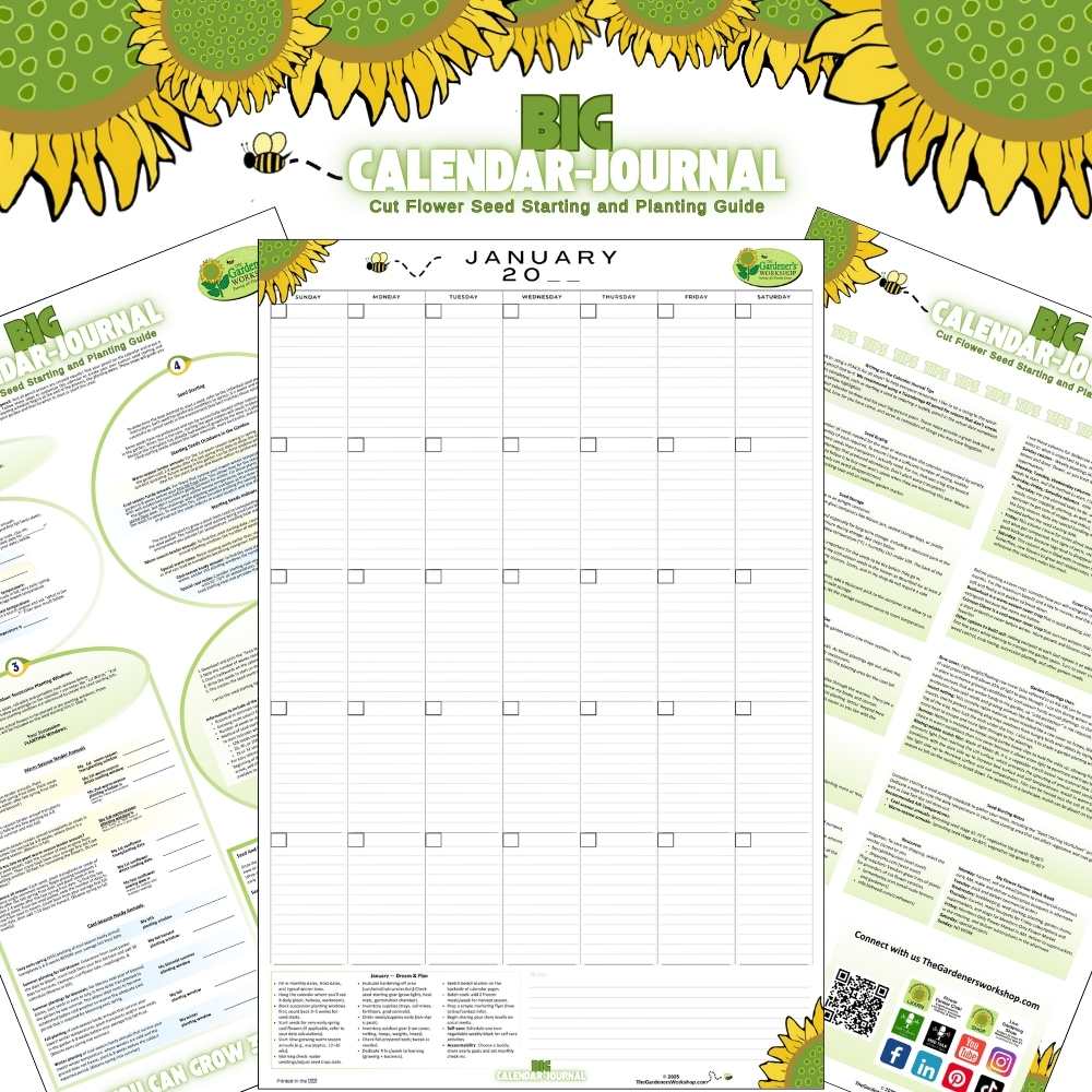 BIG Calendar-Journal