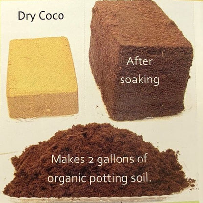 adding coco coir to potting mix Coco-Fiber Potting Soil