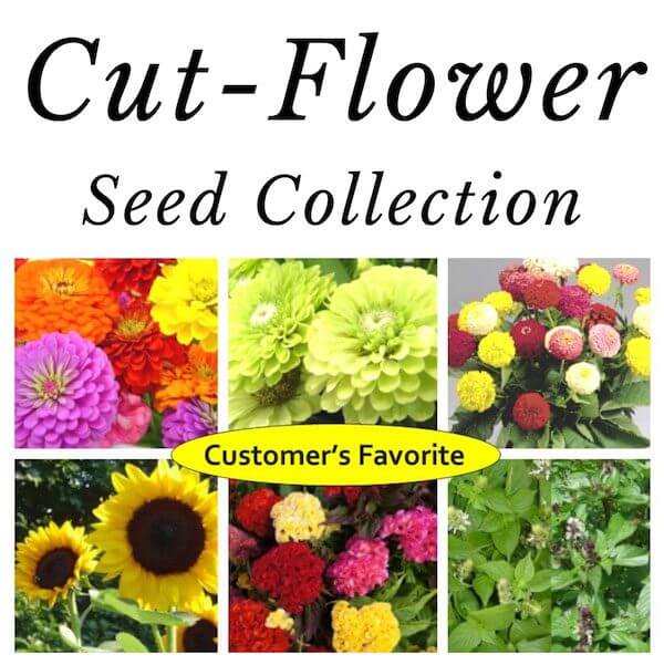flower seeds list Set, The Cut Flower Handbook & Seed Collection