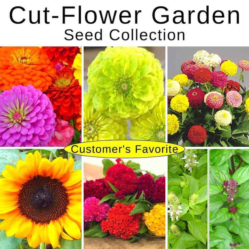 vegetable garden seed collection Set, Vegetables Love Flowers Book & Seed Collection