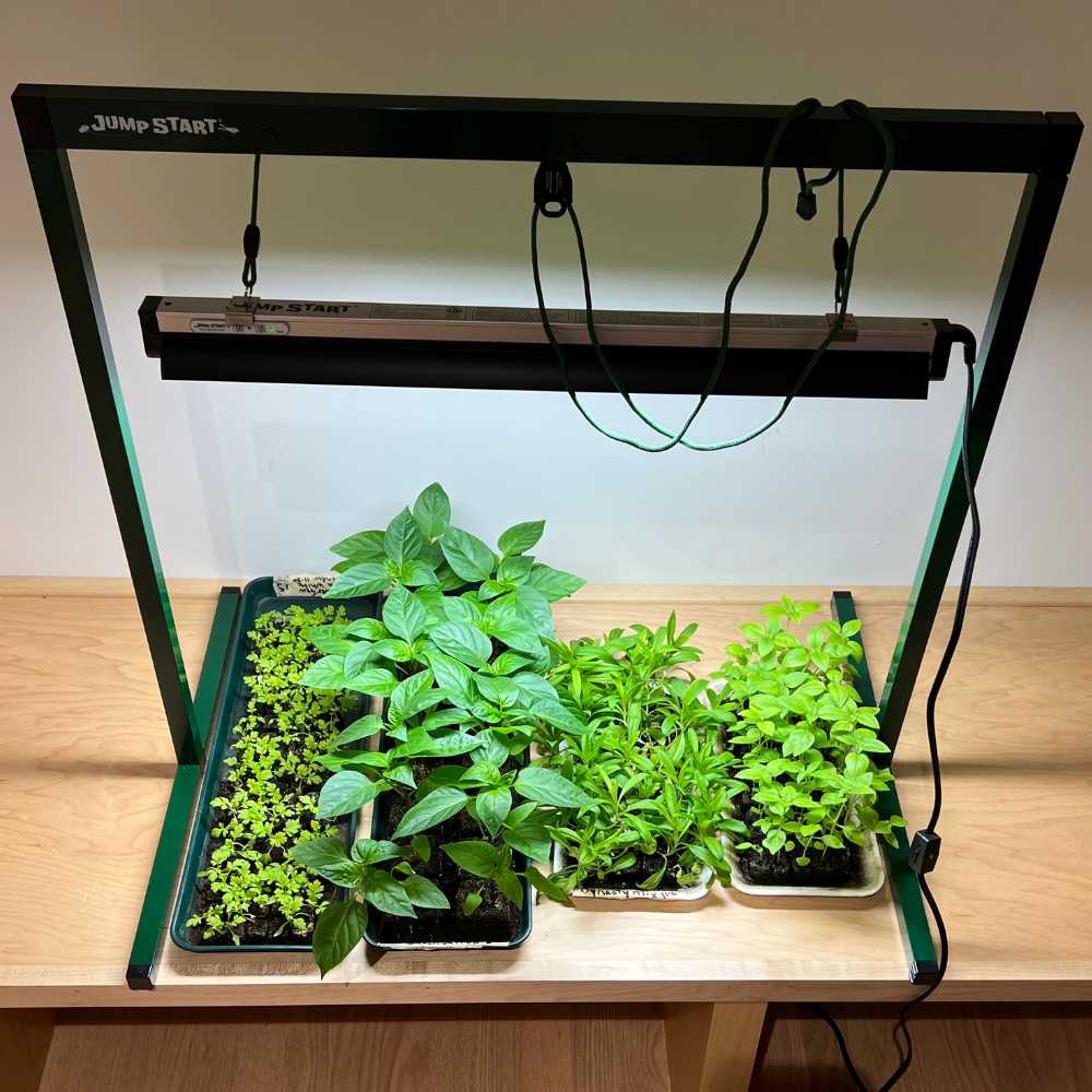 Grow light top view