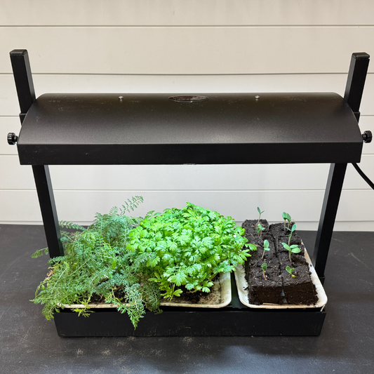 Micro Growlight Garden, Limited*