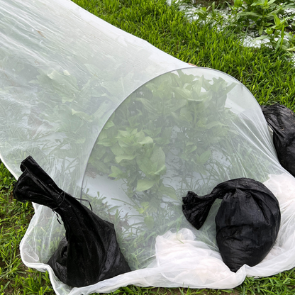 Insect Netting