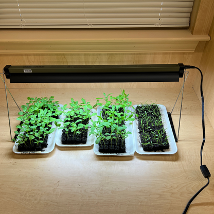 ferry-morse indoor grow light with t5 bulb Table Top Grow Light - Seed Starting