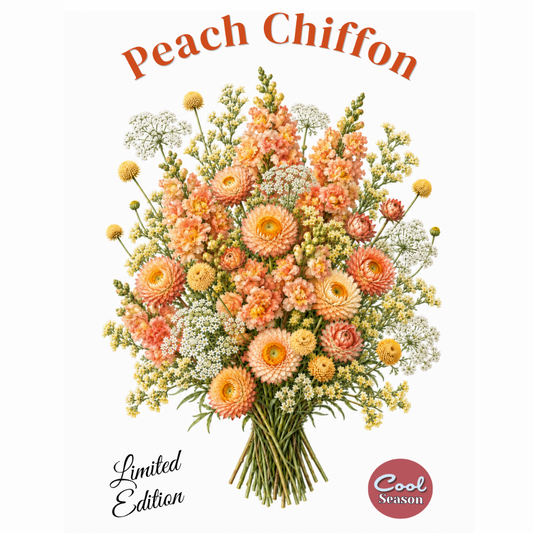 Seed Set, Peach Chiffon